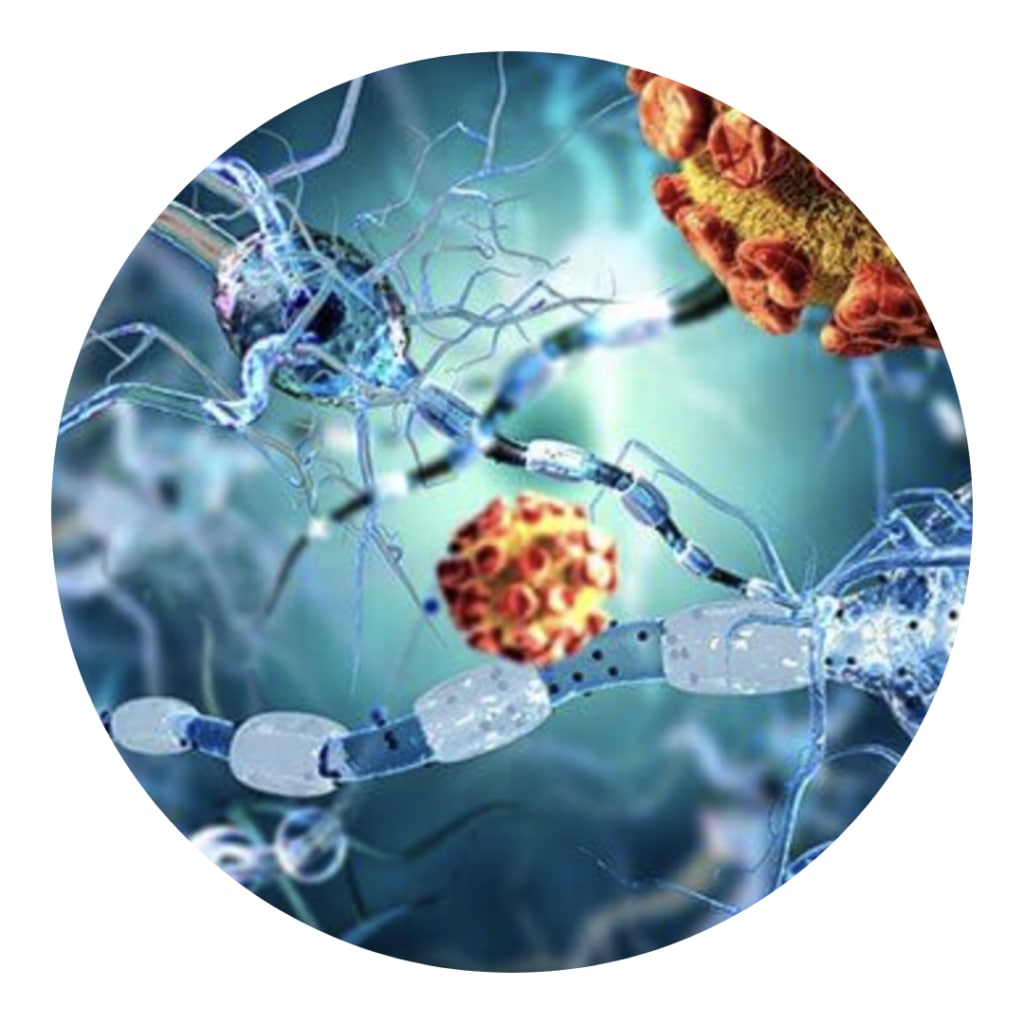 im3jpg-min dolor-articular-